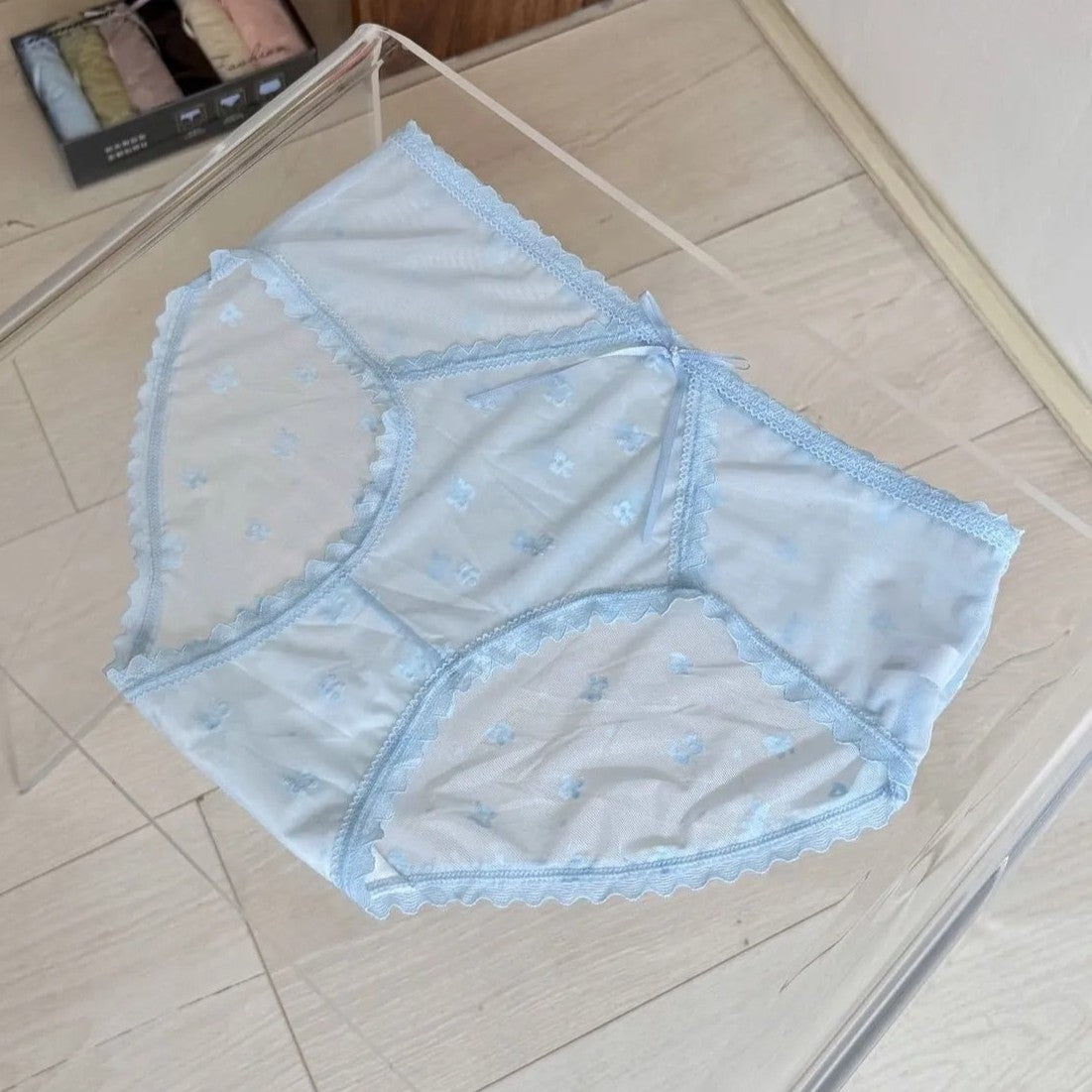 Lace Triangle Honey Butt Net Gauze Sensual Panty