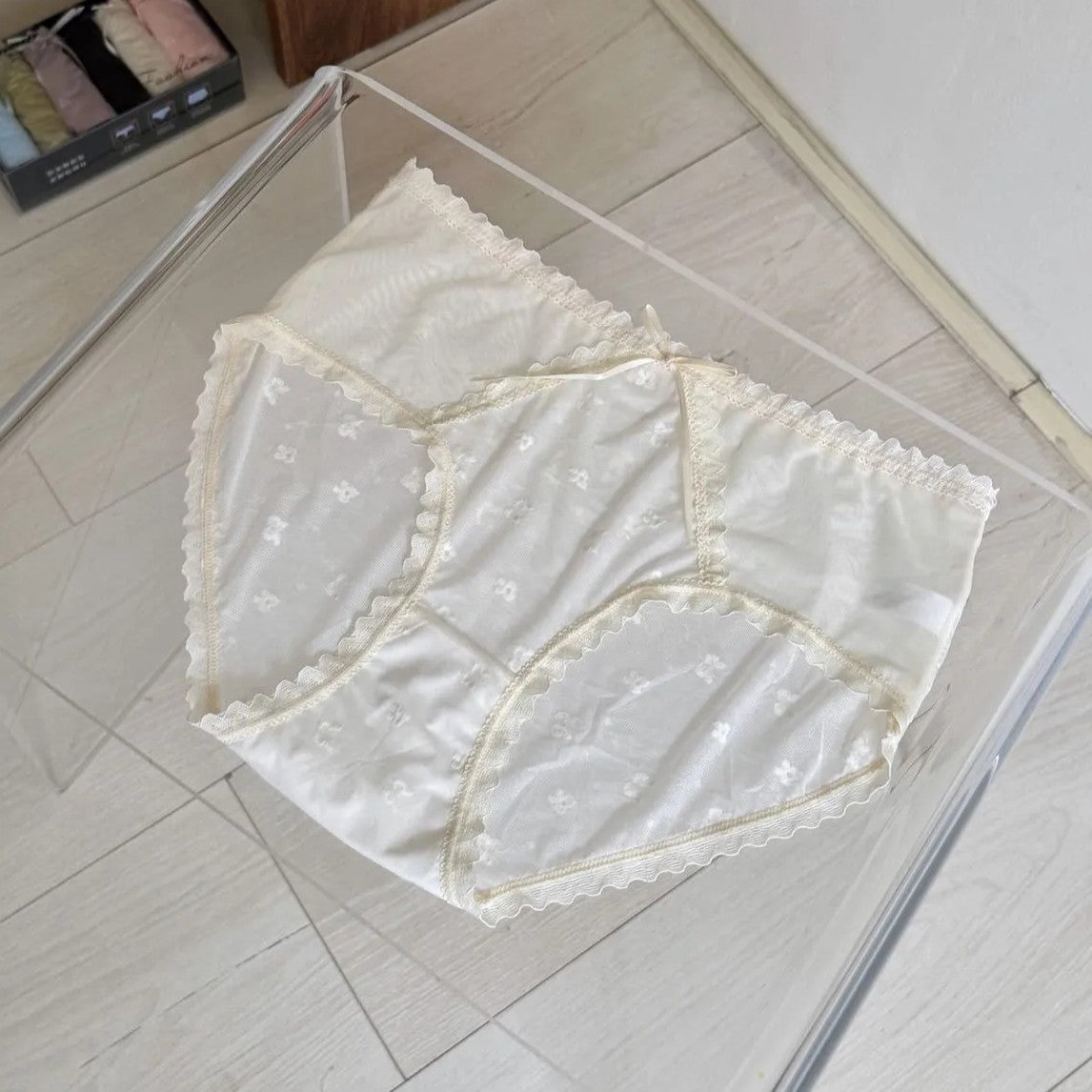 Lace Triangle Honey Butt Net Gauze Sensual Panty