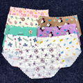 Printed Seamless Panty